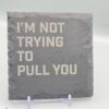 1000060975 I'm Not Trying To Pull You Lyric Slate Coaster