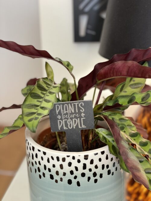 Plants Before People People Before Plants Slate Herb Garden Marker