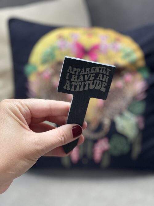 Apparently I Have An Attitude Slate Herb Garden Marker