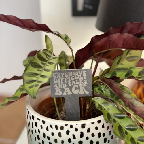 Expensive, Difficult and Talks Back Slate Herb Garden Marker