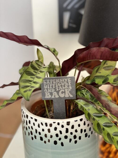 Expensive, Difficult and Talks Back Slate Herb Garden Marker