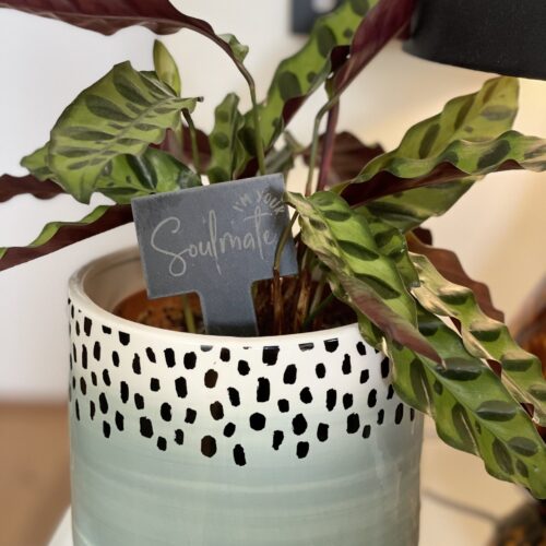 I'm Your Soul Mate Slate Herb Garden Marker