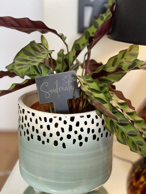 I'm Your Soul Mate Slate Herb Garden Marker