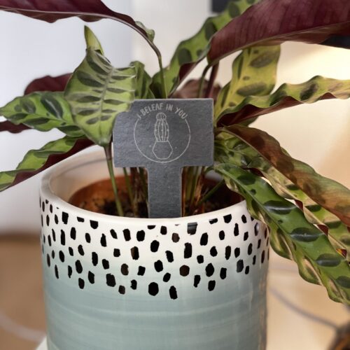 I Beleaf In You Slate Herb Garden Marker