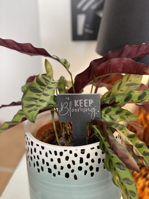 Keep Blooming Keep Blooming Slate Herb Garden Marker
