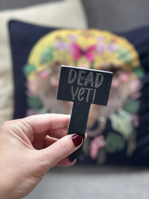 Not Dead Yet Slate Herb Garden Marker