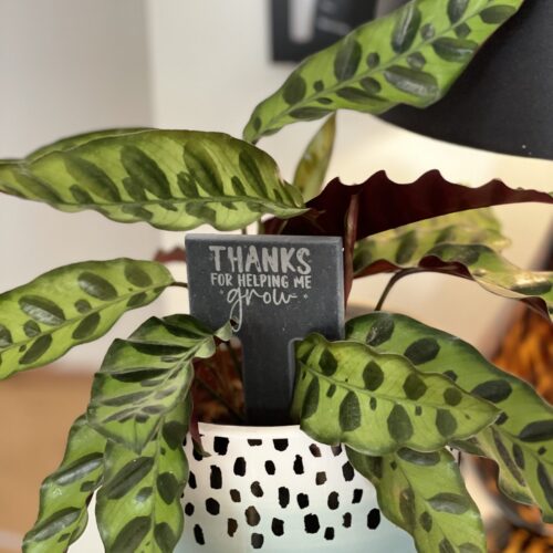 Thanks For Helping Me Grow Slate Herb Garden Marker