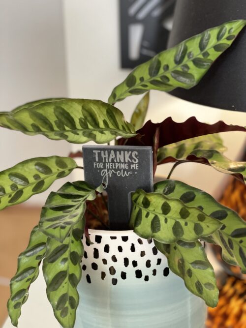 Thanks For Helping Me Grow Slate Herb Garden Marker