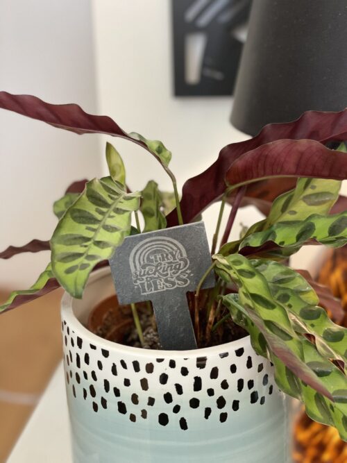 Try Sucking Less Slate Herb Garden Marker