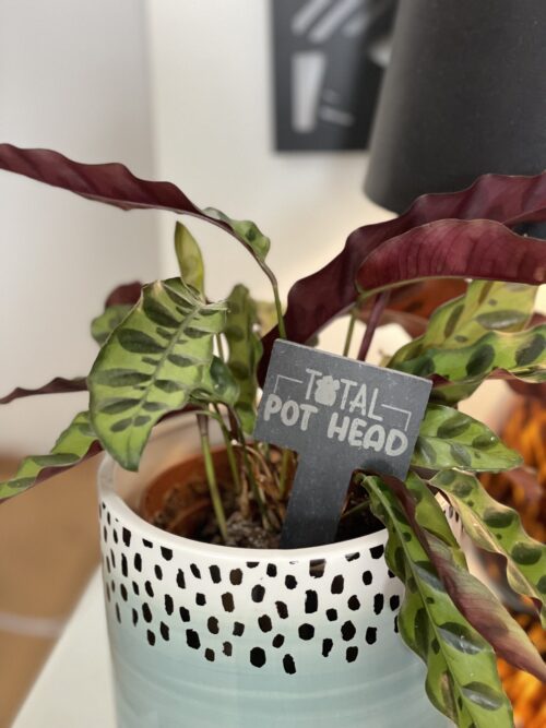 Total Pot Head Slate Herb Garden Marker