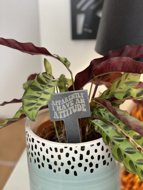 Apparently I Have An Attitude Slate Herb Garden Marker
