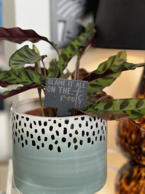 Blame It On The Roots Slate Herb Garden Marker