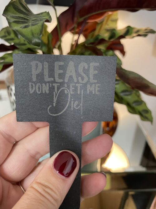 Please Don't Let Me Die Slate Herb Garden Marker