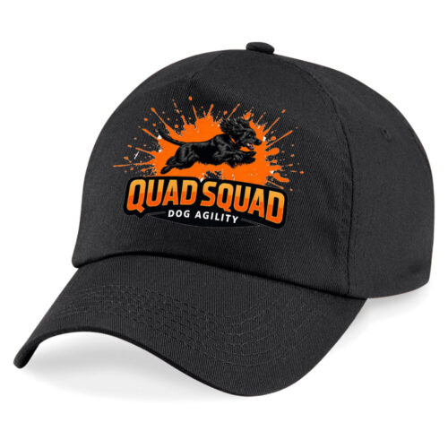 bc010_black_ft Unisex Cap