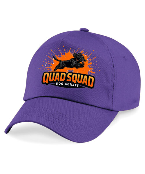bc010_purple_ft Unisex Cap
